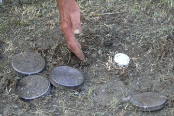 Torneo di Palet a coppie