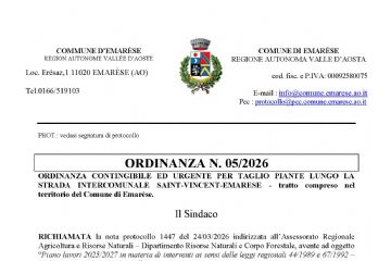 Taglio piante lungo la strada - Ordinanza nr 05/2026